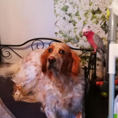 Celine Et Jose Apartment Cubzac-les-Ponts ภายนอก รูปภาพ